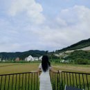두준 목장 | [양평] 감성숙소 별담하늘담-양떼목장-근교카페, 양평 또갈거쟈나