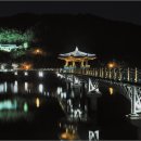 월령교 Daum카페