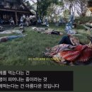 개화-꽃의 노래 | 악뮤 정규4집 개화 앨범 후기 : <기쁨, 슬픔, 아름다운 마음>을 노래할수 있는 건강함