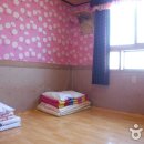 모텔렉시 이미지