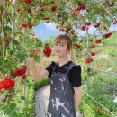 한밭수목원2 이미지