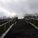 향동초등학교 이미지