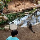 킴스치과의원 이미지