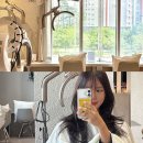 동탄역미용실 / 동탄 오산동 미용실 라운드뮤즈에서 뮤즈클리닉, 레이어드컷 받은 후기