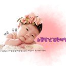 그레이스푸드 이미지