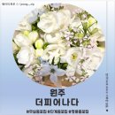 명륜동-5 | <강원 원주> 원주 명륜동 꽃집 더피어나다 후기