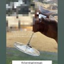 19 | 원주 치악예술관ㅣ최현우 마술공연 19+I 후기ㅣ그는 마법사였다