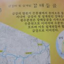 대강강 이미지