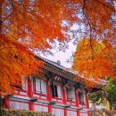 공명(共鳴) 네이버블로그