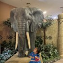 더좋은세상(전북총판) | 전북 가족여행 추천! 소노벨 변산 오션플레이에서 36개월 아기랑 즐기는 물놀이 후기