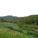 청풍목장 이미지