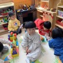 (주) 티피코 Daum카페