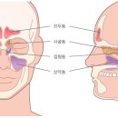 잠실원치과의원 이미지
