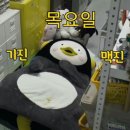 맘스캠프 이미지