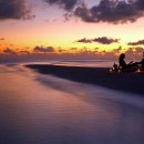 알로하오에 이미지