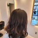 bd Hair 이미지