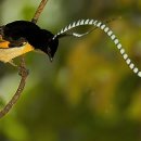 박금순농장 이미지