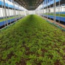 수경목장 이미지