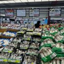 차선식품 | 와마트 후기/평내점/고기,야채가격/마트가격/ 주말방문후기!