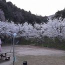 팡팡펜션 이미지