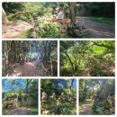 수방지영 이미지