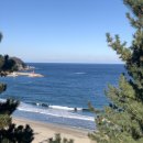 까페 하비비 이미지