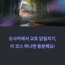 오사카에서 교토 당일치기, 교통부터 맛집까지 완벽 코스 (난바 출발)