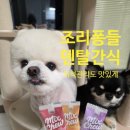 하나로덴탈 | 강아지덴탈껌 디디랩 믹스츄 후기｜치석제거 덴탈껌 찾는 조리퐁들 올인원 덴탈껌