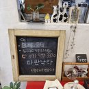 파란낙타 이미지