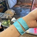 주식회사 테이블에이 고양이카페 | 파주아기랑: 실내동물원 강아지·고양이·알파카등 아이와 가볼만한 곳 테이블에이 방문 후기