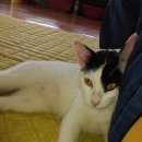 우리농원 이미지