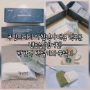 착한떡 | 아침식사대용 추천 착한떡 백설기 쑥설기 쿠팡 프레시 개별 포장 떡 내돈내산 후기