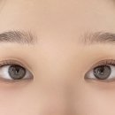 올데이브로우즈속눈썹펌