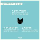 이엘메디 | [더메디캣] [판타스틱 츄르] 고양이가 스트레스에 노출되는 상황들😿