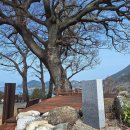 남해-231 이미지