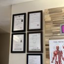 내손안마원 이미지