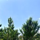 치항병원 | 전망좋은 치항병원에서 Don’t-Go 튜닝 대장정