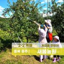 새봄농장 | 충주 새봄농원 사과따기체험 체험비 준비물 아이와 가을여행
