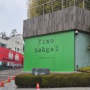 4월 문화가 있는 날 _ 바이올린 이경선 | 리움미술관 티노세갈 전시회 : 실시간 키스 커플과 자전거 곡예