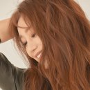 김양닷컴