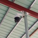 인제양계 이미지