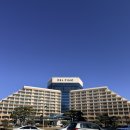 모아당구클럽 | 피노 C동 울산바위뷰 패밀리룸 방배정 부대시설 더몰, 더 엠브로시아 카페 오픈런 후기_고성 속초 추천호텔