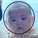 아기랑 강릉여행 2박3일 ; 호텔 탑스텐 후기, 조식