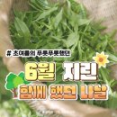 세계와 함께하는 중국어 | 지린 중국어 스터디 6월 후기