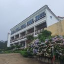 바다이야기 펜션 이미지