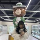 인천강아지분양 테디럽 이미지