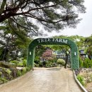 트리팜(TreeFarm)