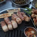 제주일돈흑돼지
