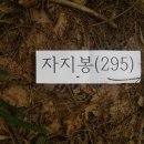 신대마을회관 이미지