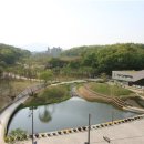 드림랜드 이미지